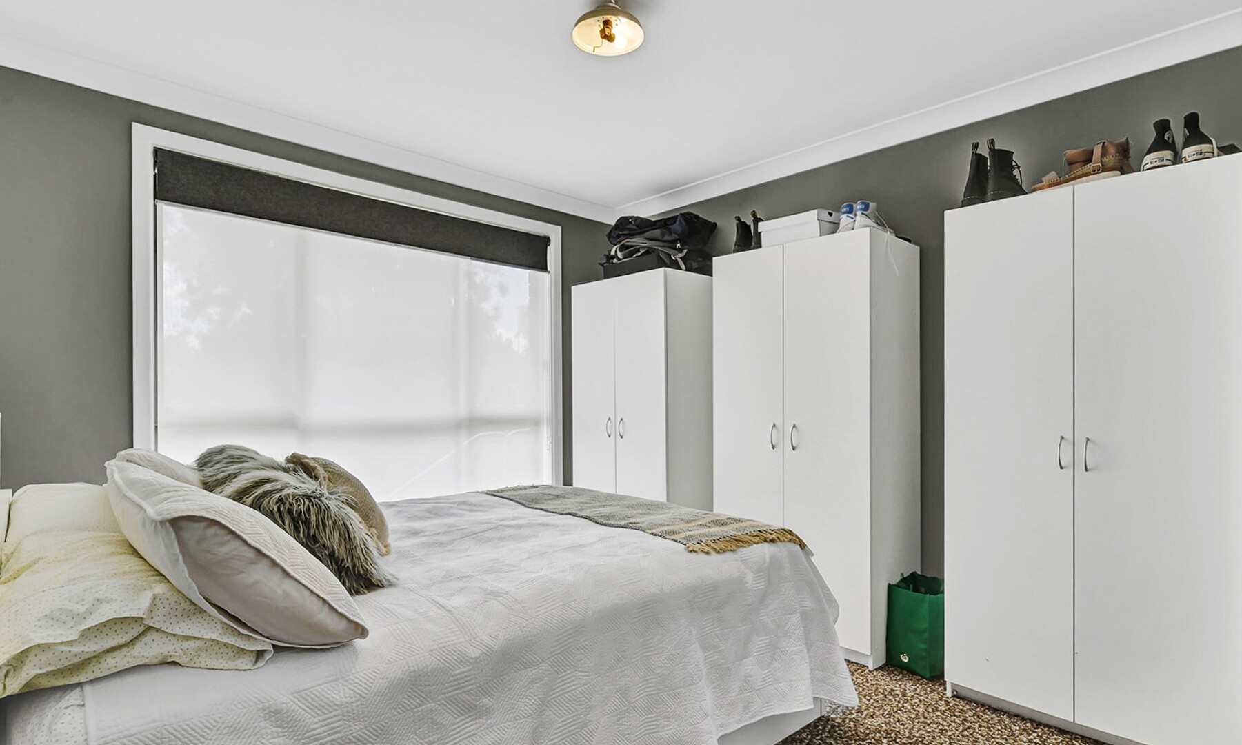 8 Anzac Place, Orange NSW 2800 - photo 7