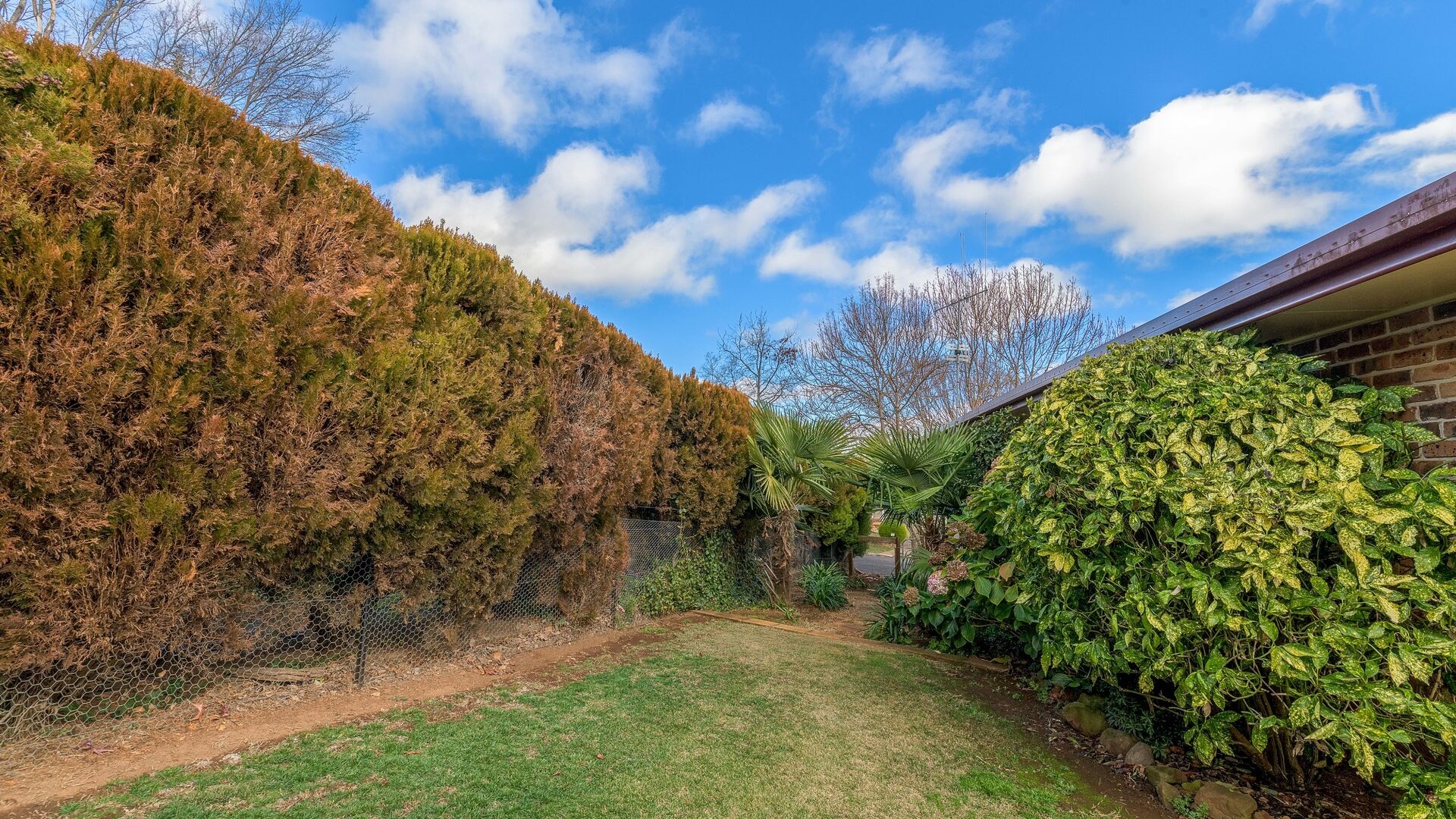 5 Yaraan Place, Orange NSW 2800 - photo 16