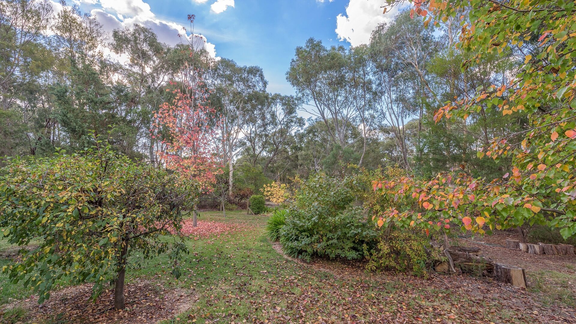 2 Narambla Drive, Orange NSW 2800 - photo 27