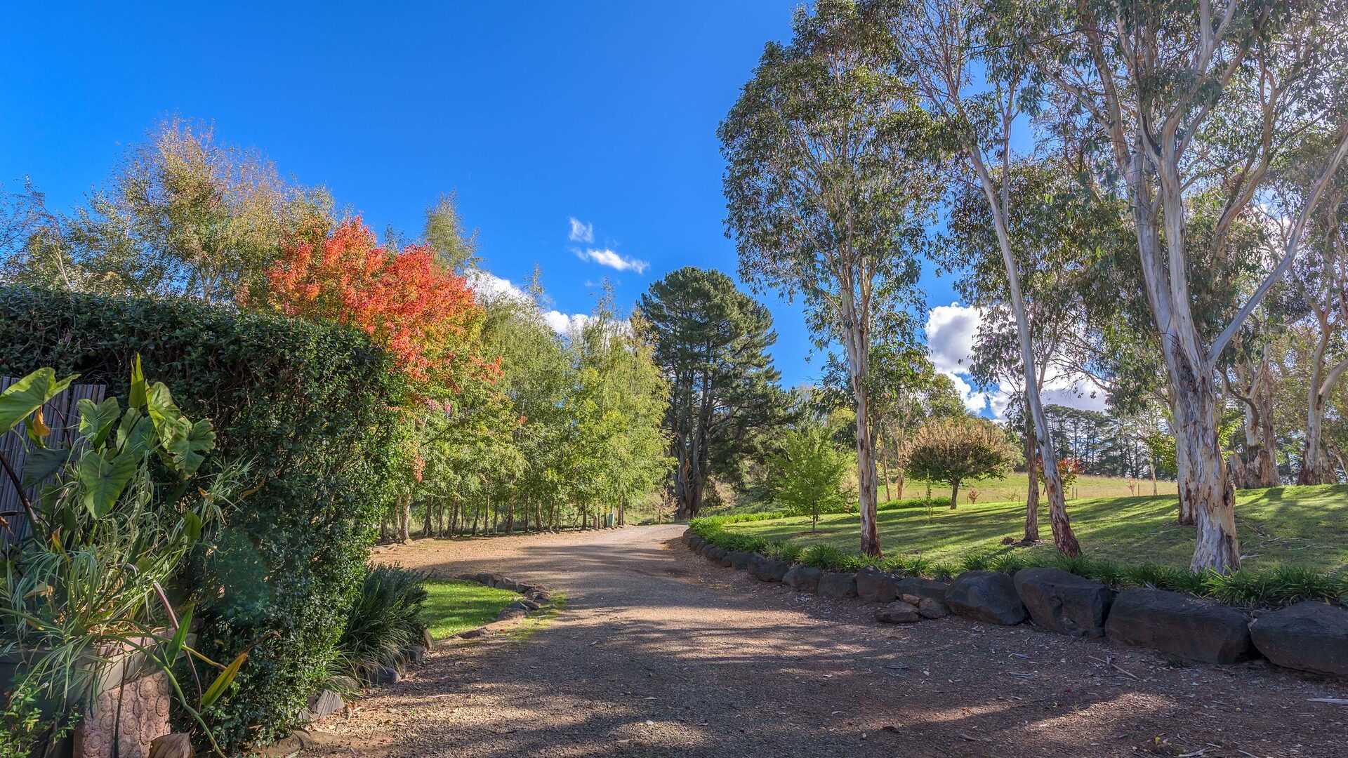 160 Kearl Road, Orange NSW 2800 - photo 27