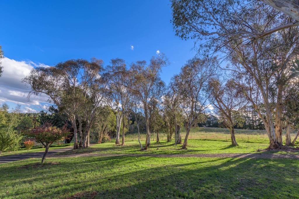 160 Kearl Road, Orange NSW 2800 - photo 32