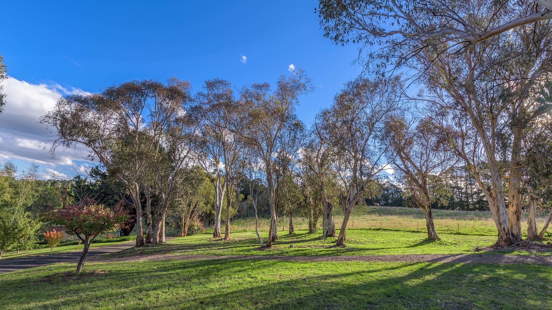 160 Kearl Road, Orange NSW 2800 - photo 32