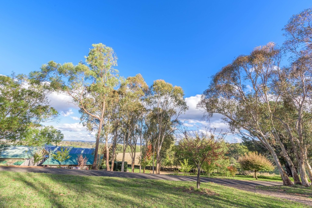 160 Kearl Road, Orange NSW 2800 - photo 35