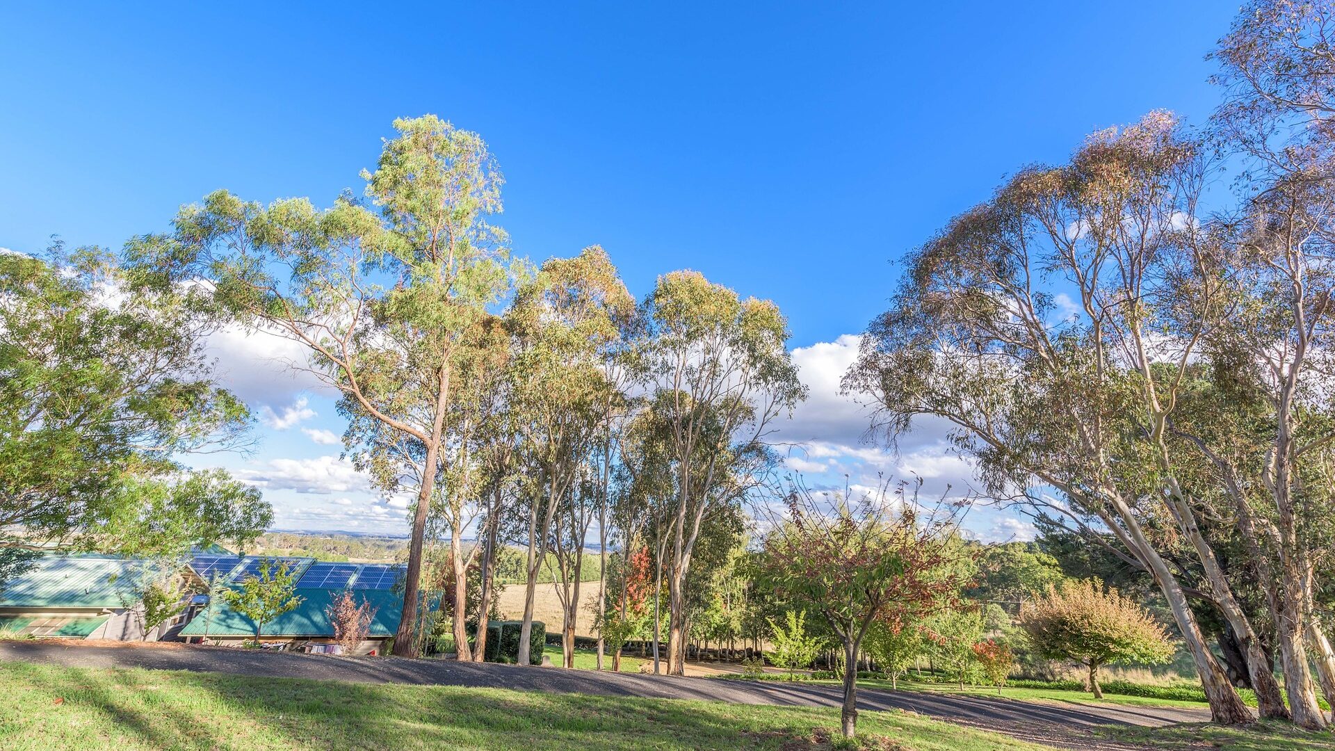 160 Kearl Road, Orange NSW 2800 - photo 35