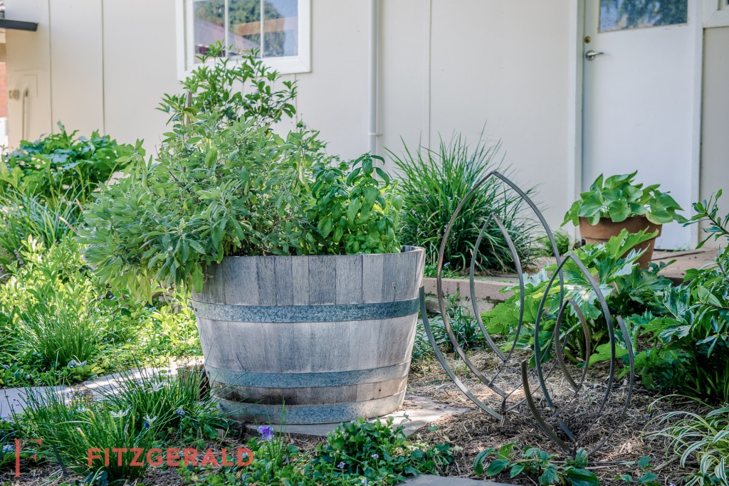 140 Hill Street, Orange NSW 2800 - photo 17