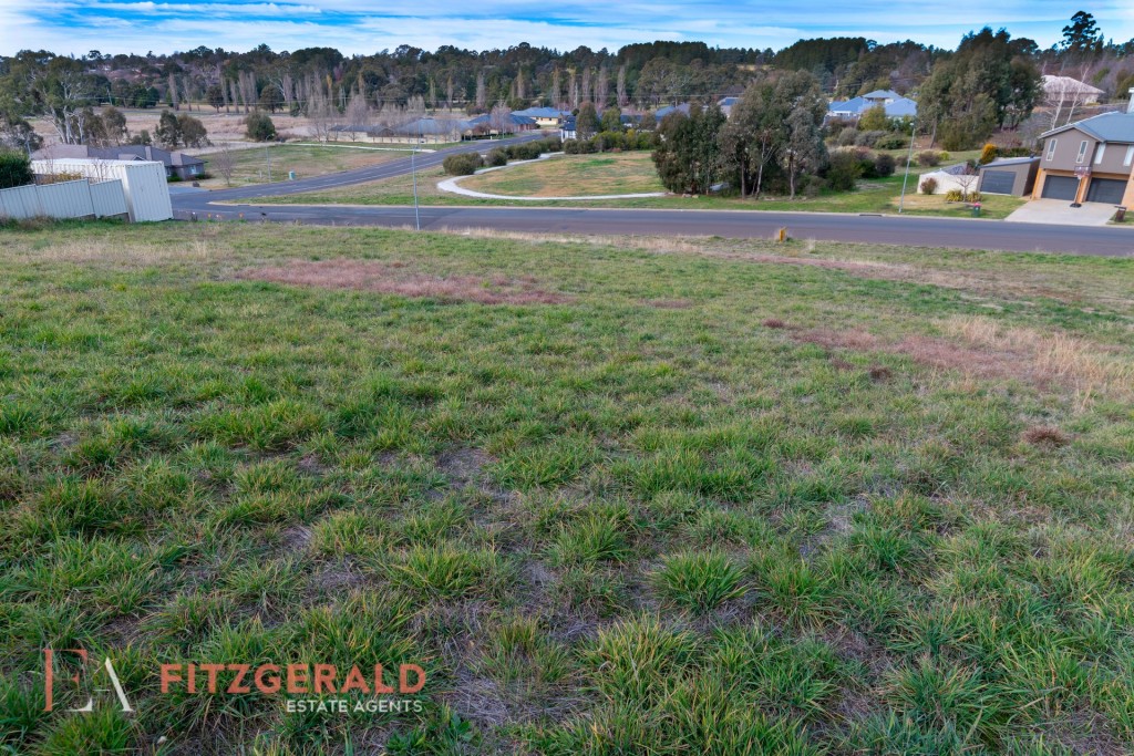 4 Isaac Drive, Orange NSW 2800 - photo 4