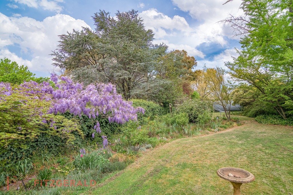 114 Warrendine Street, Orange NSW 2800 - photo 11