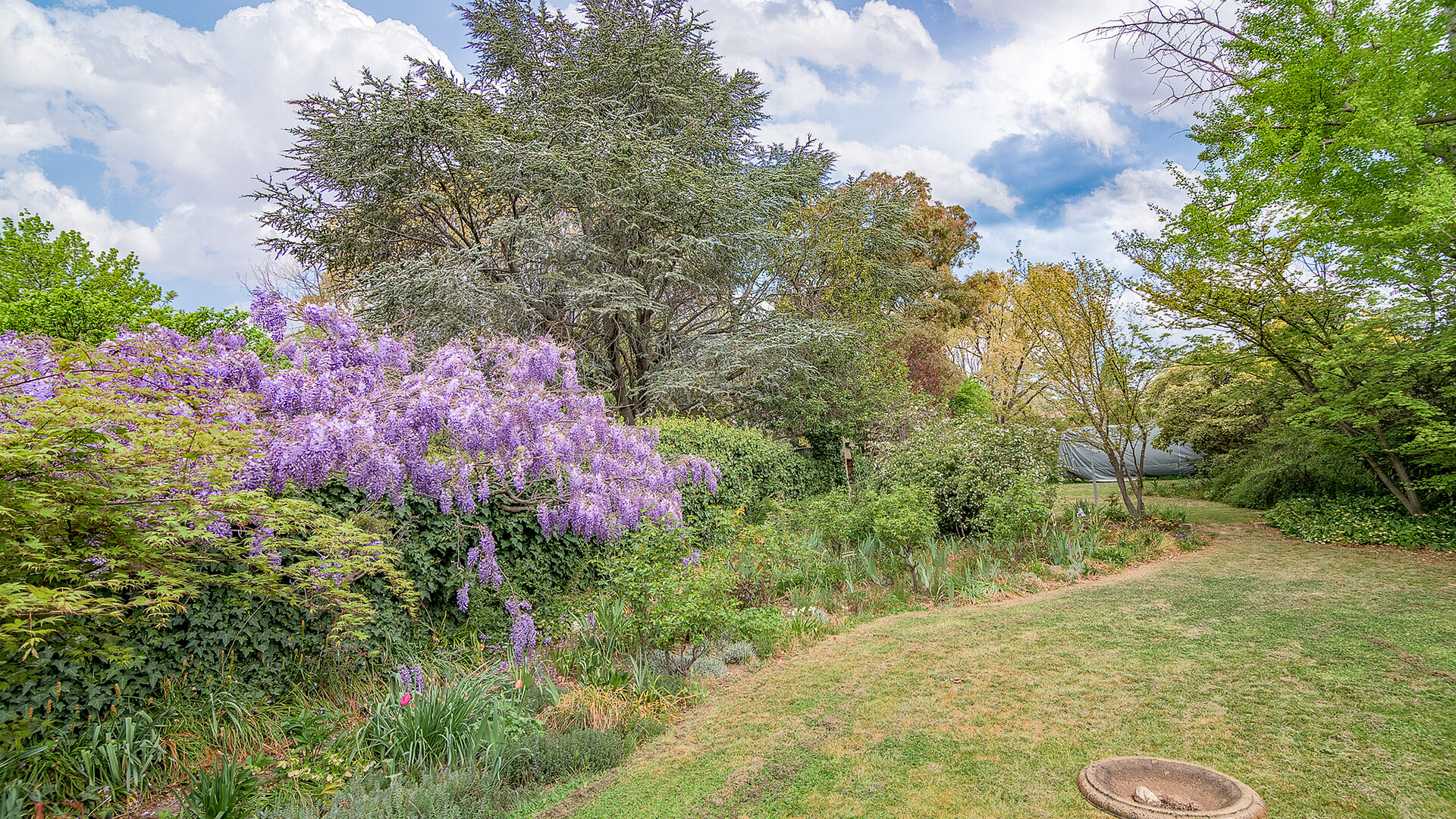 114 Warrendine Street, Orange NSW 2800 - photo 11