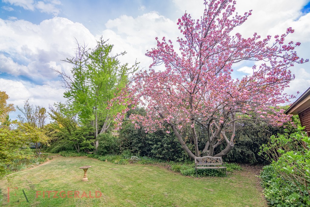114 Warrendine Street, Orange NSW 2800 - photo 12