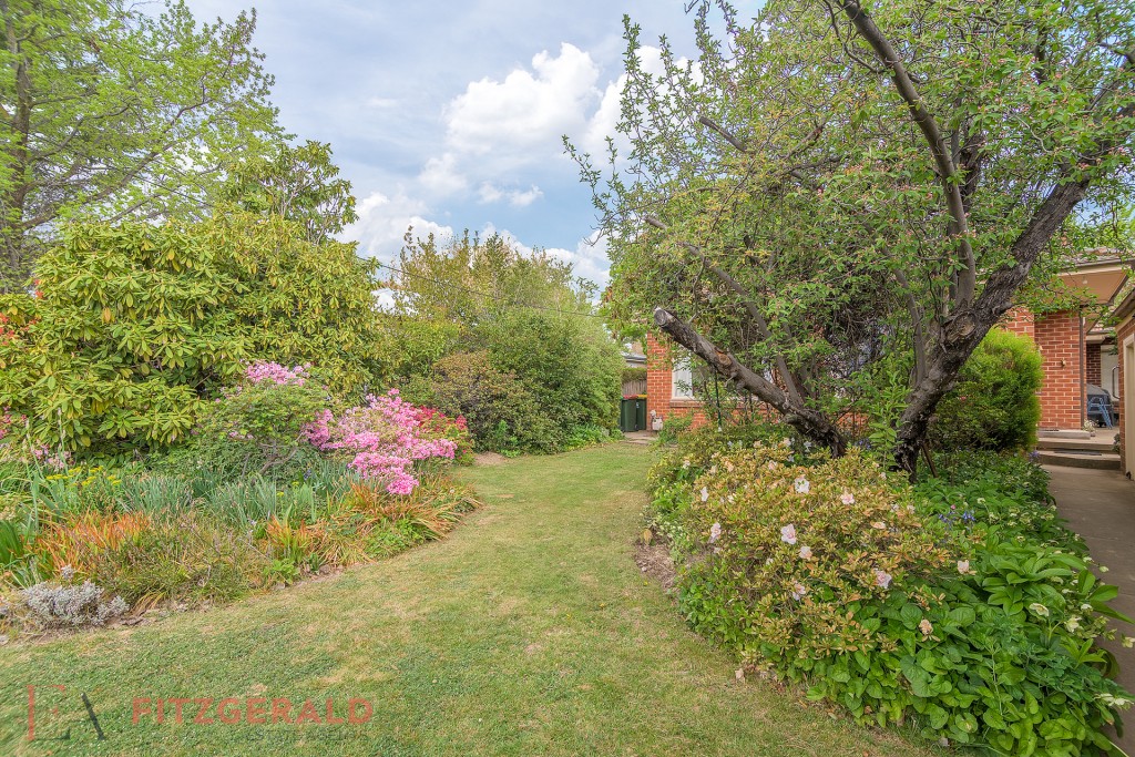 114 Warrendine Street, Orange NSW 2800 - photo 13