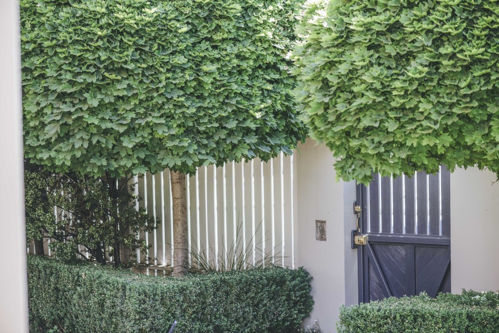 4 Sale Street, Orange NSW 2800 - photo 17