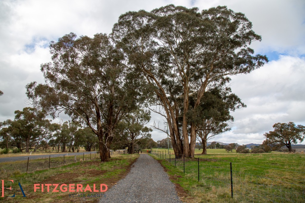 2457 Cargo Road, Orange NSW 2800 - photo 4