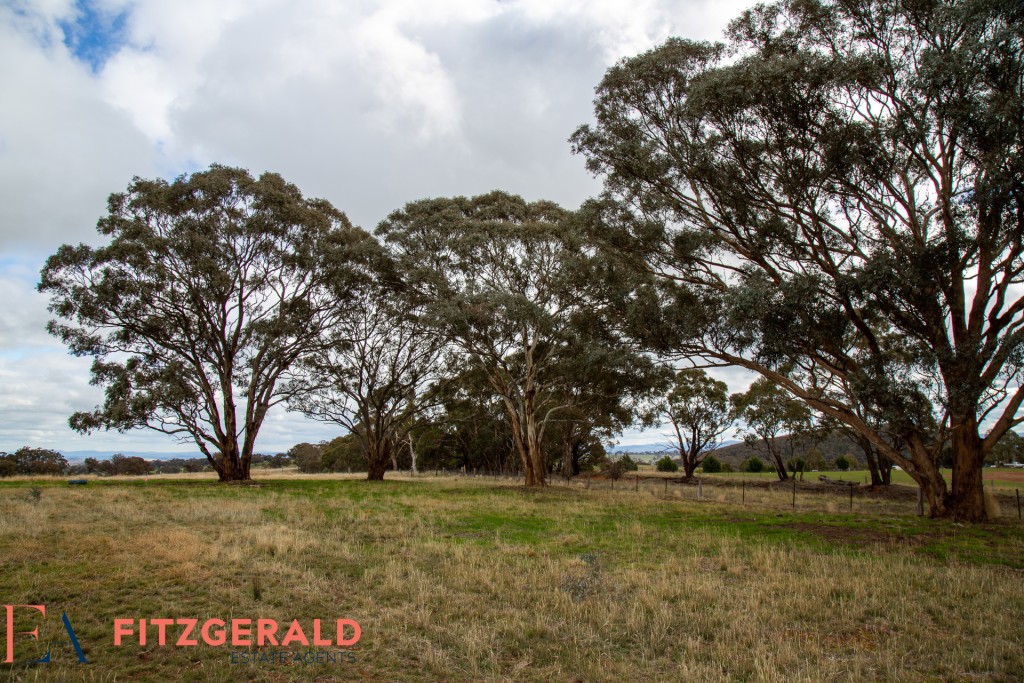 2457 Cargo Road, Orange NSW 2800 - photo 10