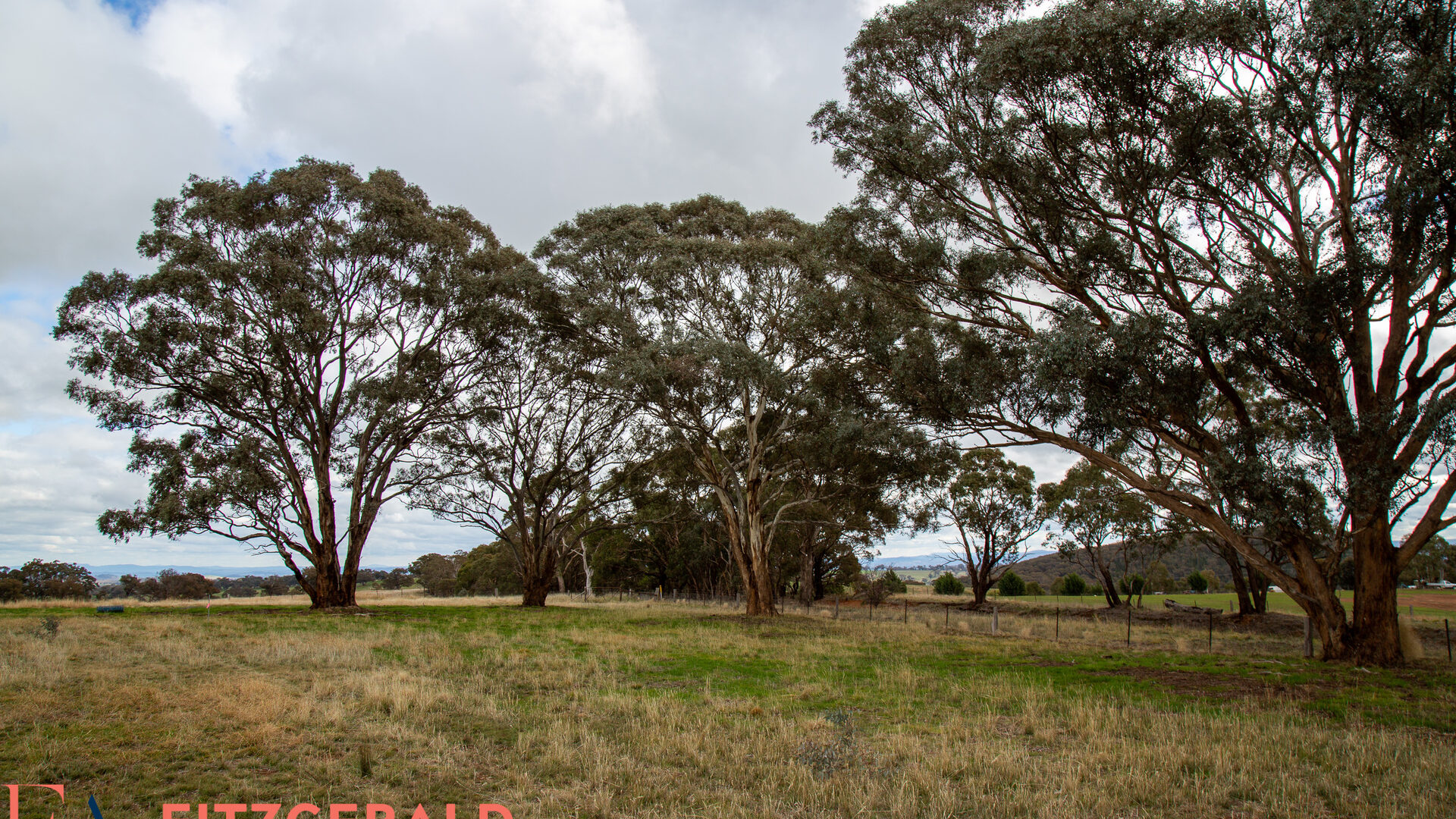 2457 Cargo Road, Orange NSW 2800 - photo 10