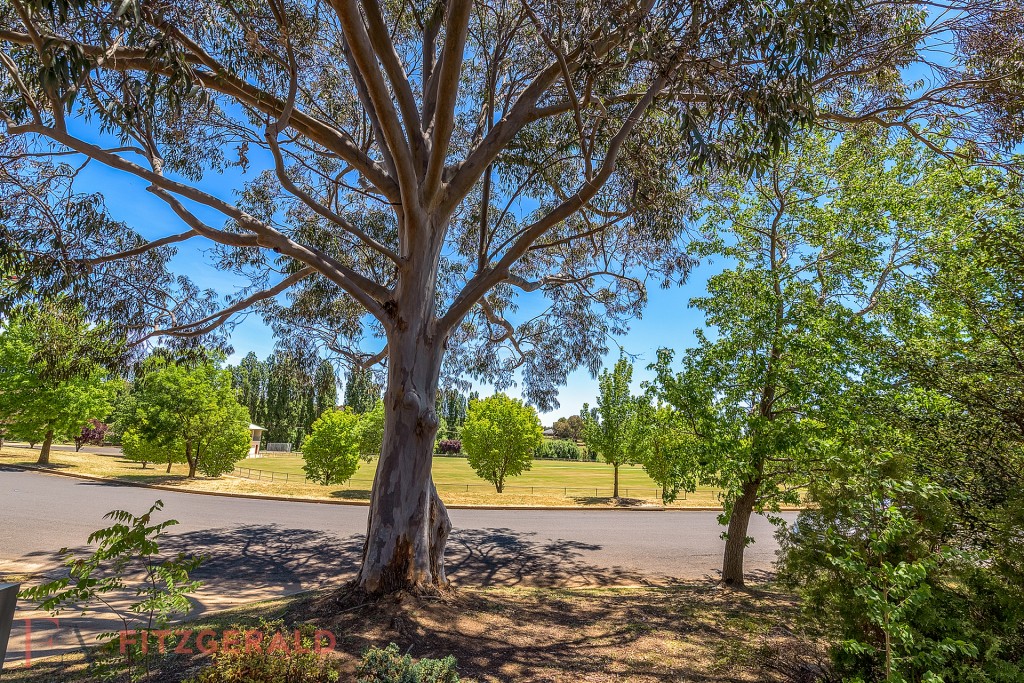 20 Kooronga Avenue, Orange NSW 2800 - photo 22