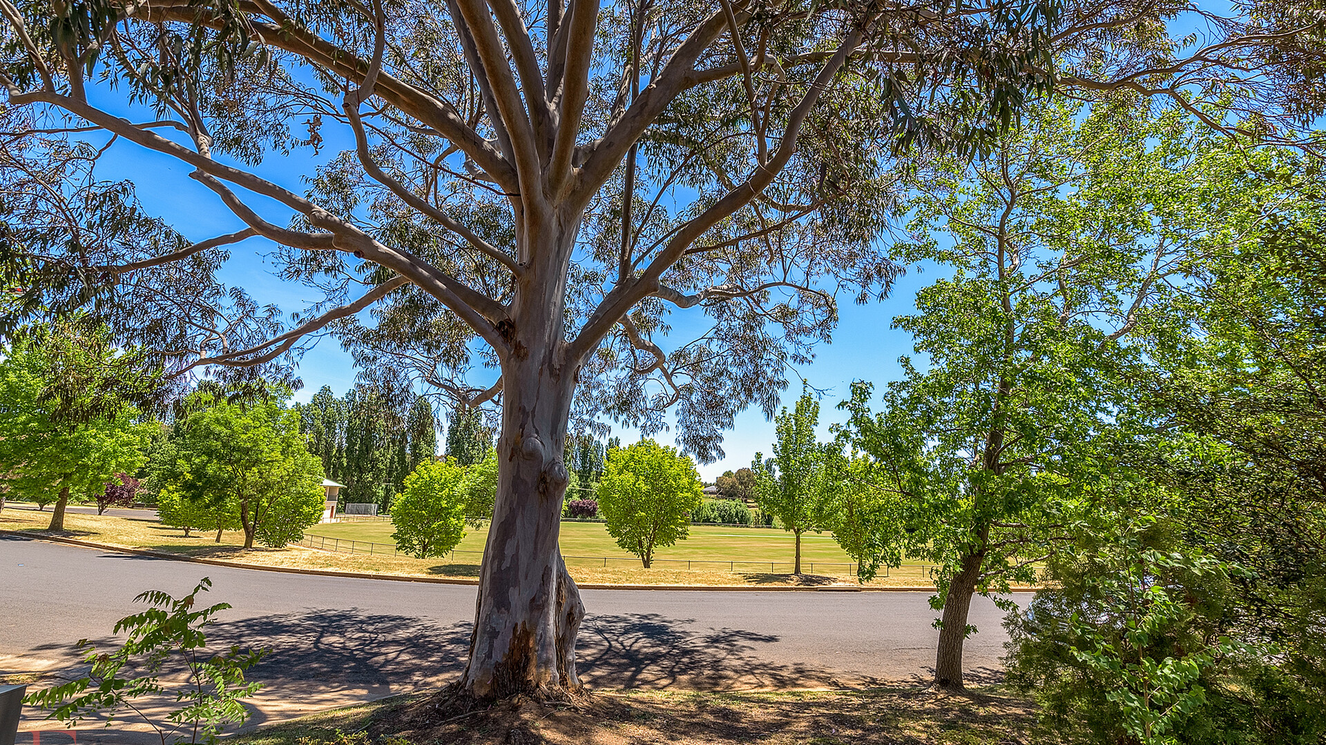 20 Kooronga Avenue, Orange NSW 2800 - photo 22