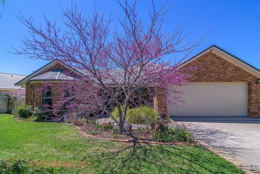 6 McIntosh Street, Orange NSW 2800 - photo 12