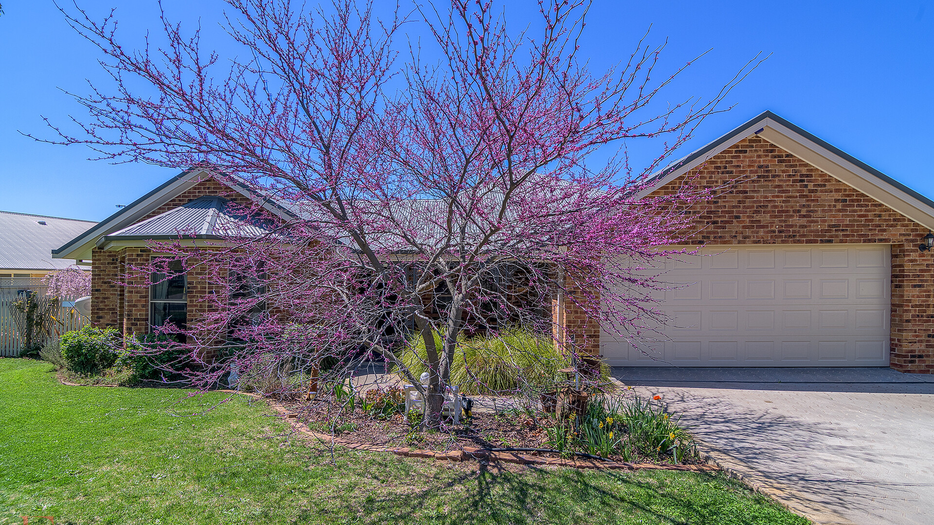 6 McIntosh Street, Orange NSW 2800 - photo 12