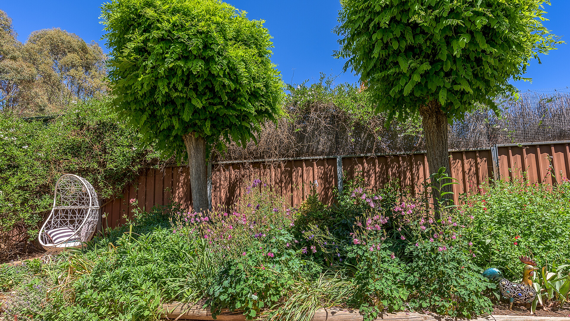 36 Sharp Road, Orange NSW 2800 - photo 13