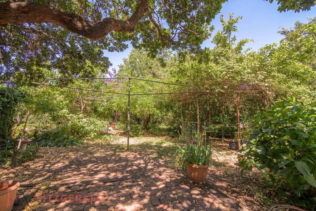 146 Sale Street, Orange NSW 2800 - photo 12
