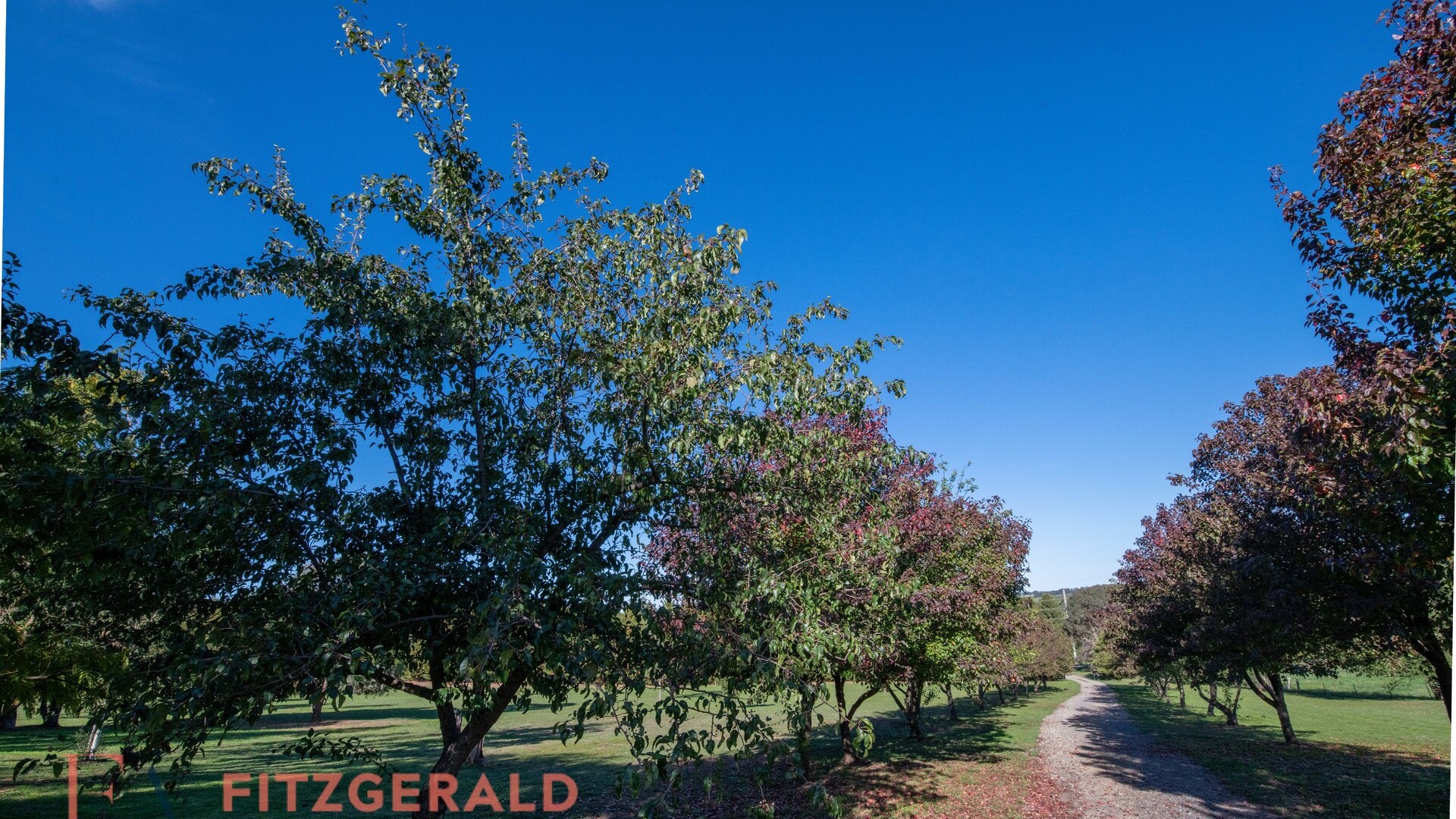 1129 Millthorpe Road, Millthorpe NSW 2798 - photo 2