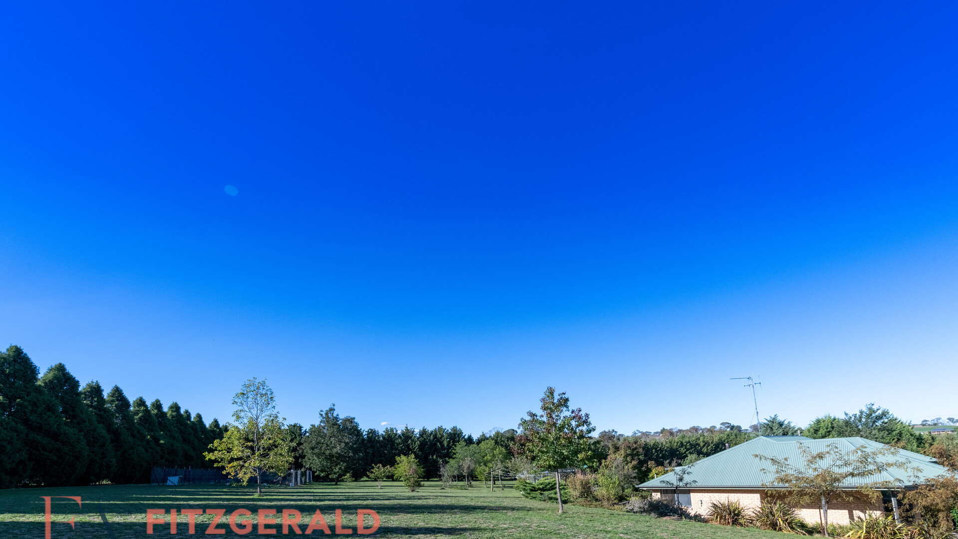 1129 Millthorpe Road, Millthorpe NSW 2798 - photo 3