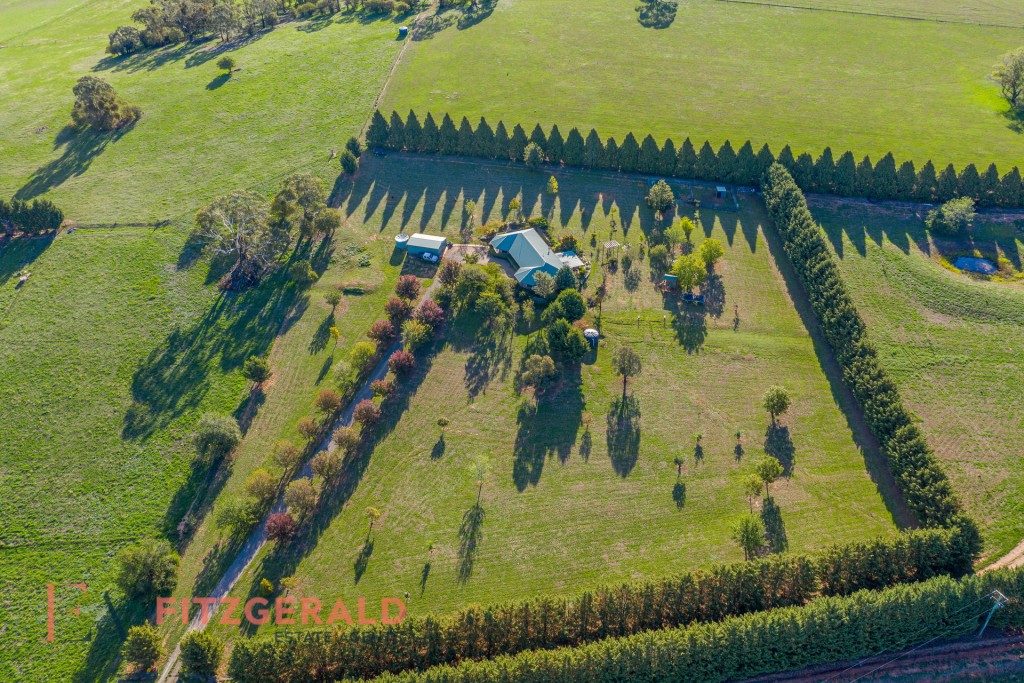 1129 Millthorpe Road, Millthorpe NSW 2798 - photo 24