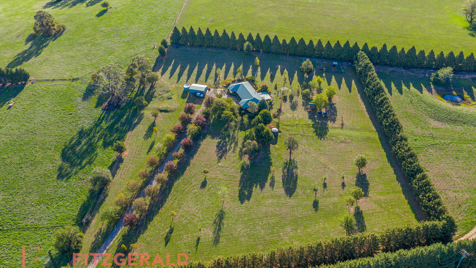 1129 Millthorpe Road, Millthorpe NSW 2798 - photo 24