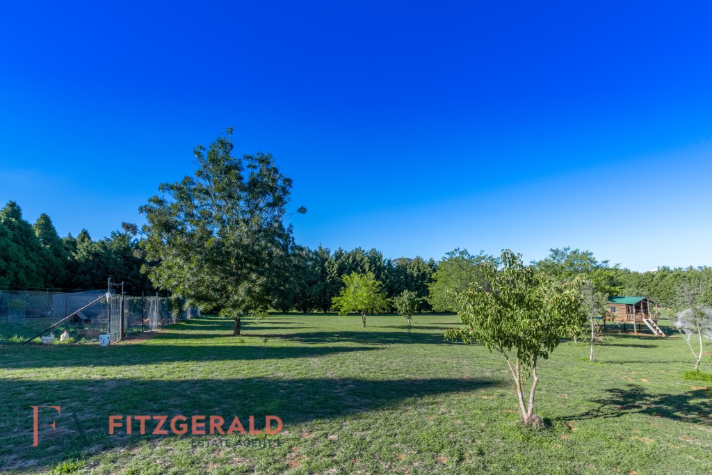 1129 Millthorpe Road, Millthorpe NSW 2798 - photo 26