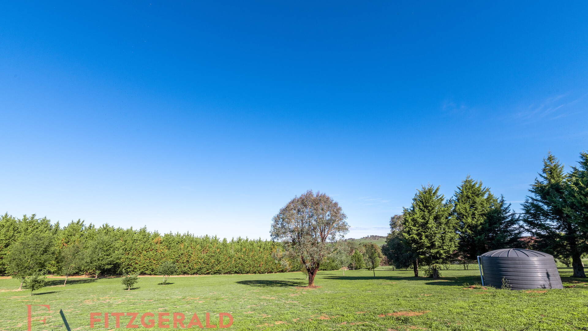 1129 Millthorpe Road, Millthorpe NSW 2798 - photo 27