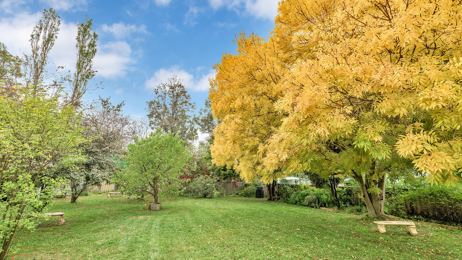 13 Pulari Place, Orange NSW 2800 - photo 11