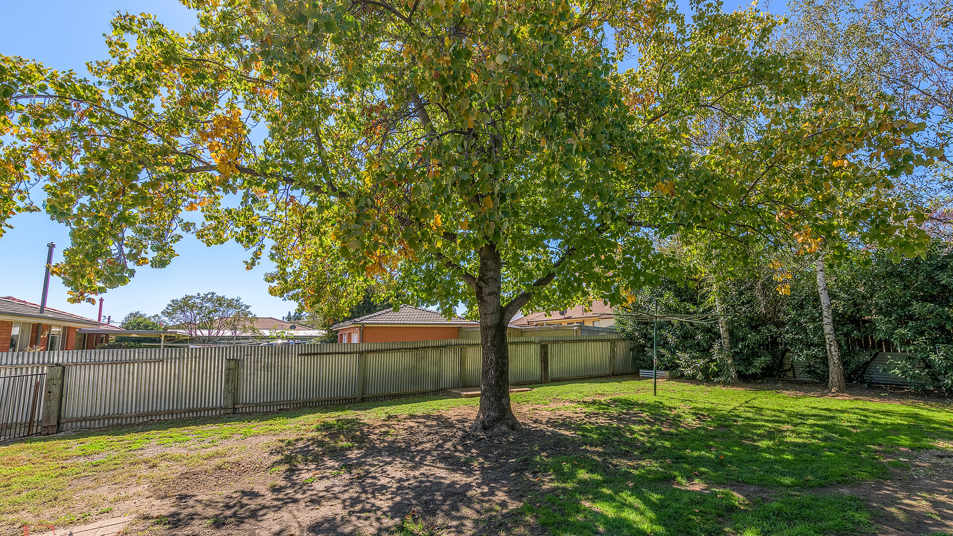68 Cecil Road, Orange NSW 2800 - photo 10