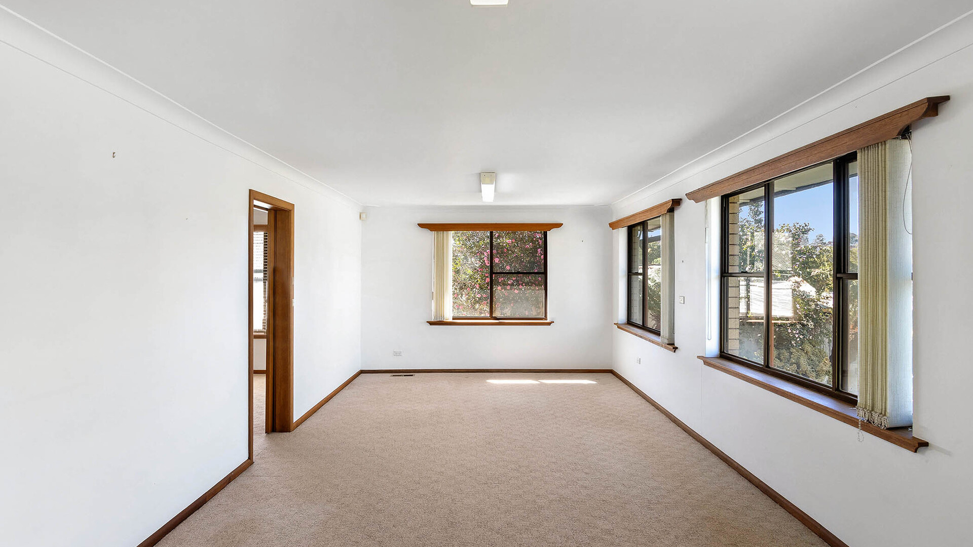56 Cox Avenue, Orange NSW 2800 - photo 13