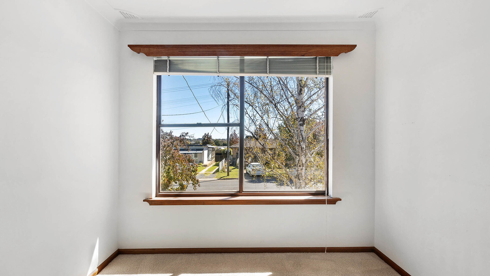 56 Cox Avenue, Orange NSW 2800 - photo 10