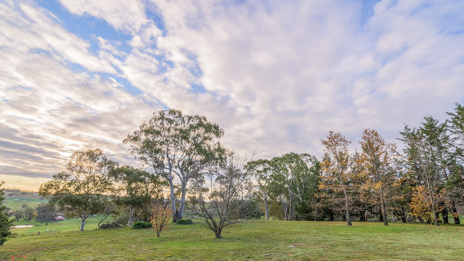 6 Borrodell Drive, Orange NSW 2800 - photo 25