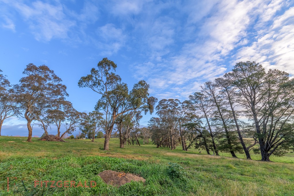 6 Borrodell Drive, Orange NSW 2800 - photo 27