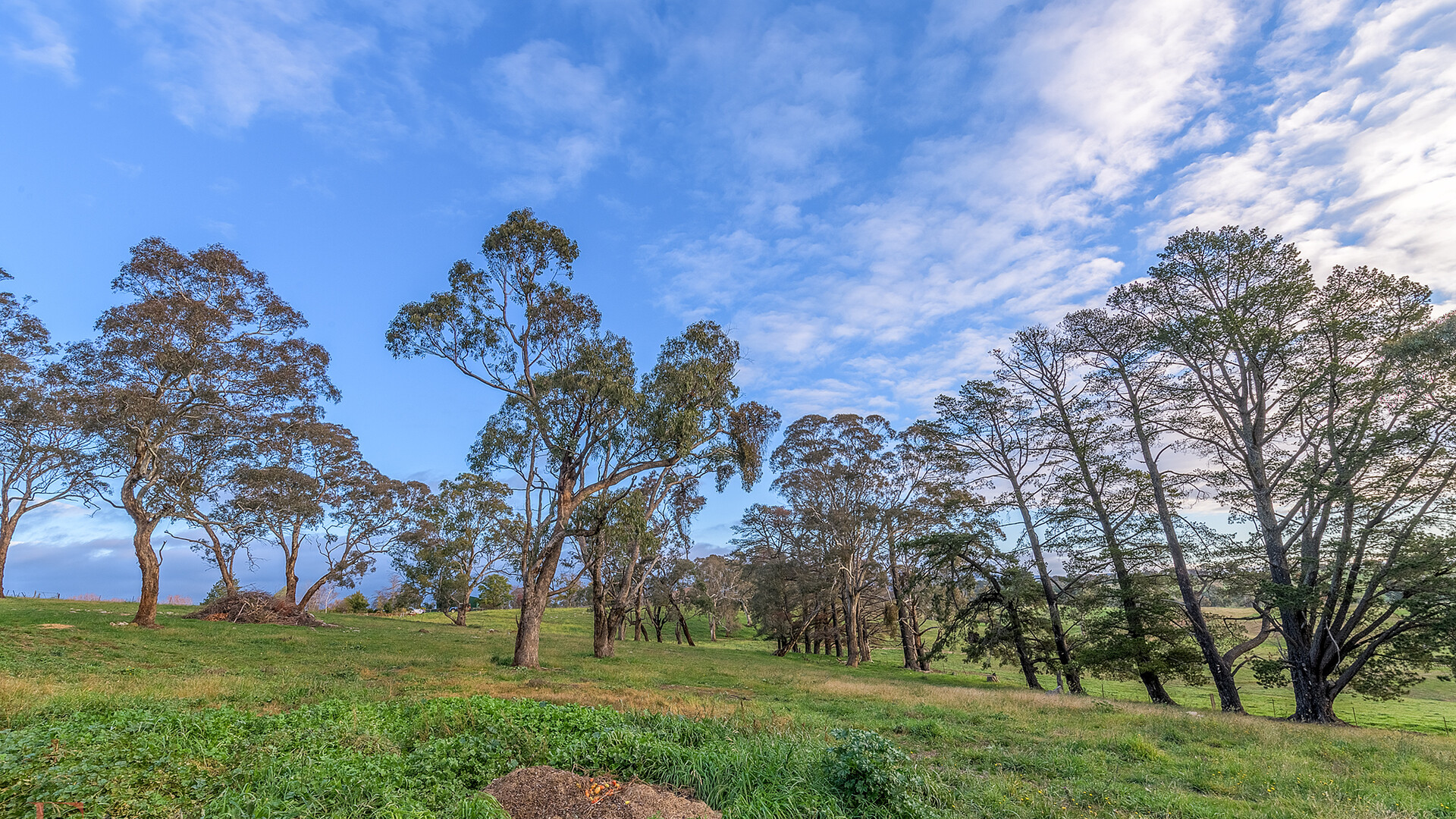 6 Borrodell Drive, Orange NSW 2800 - photo 27