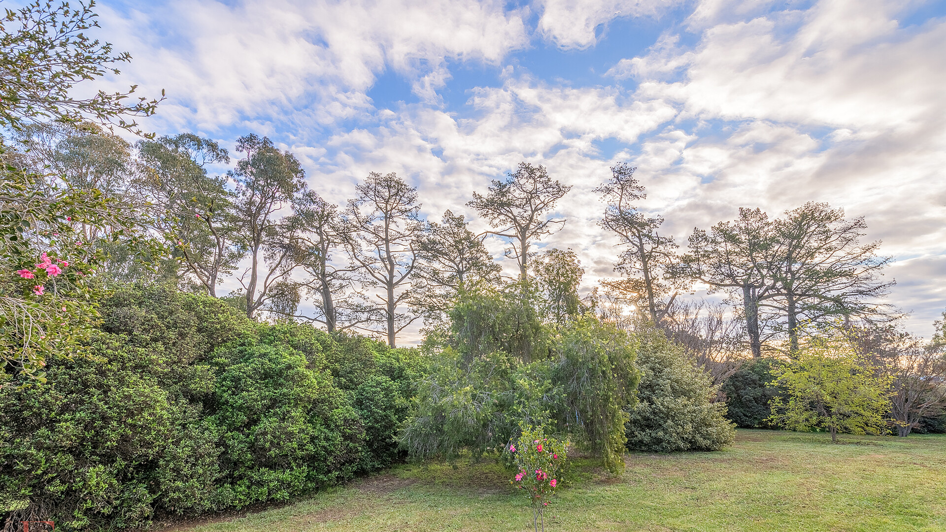 6 Borrodell Drive, Orange NSW 2800 - photo 29
