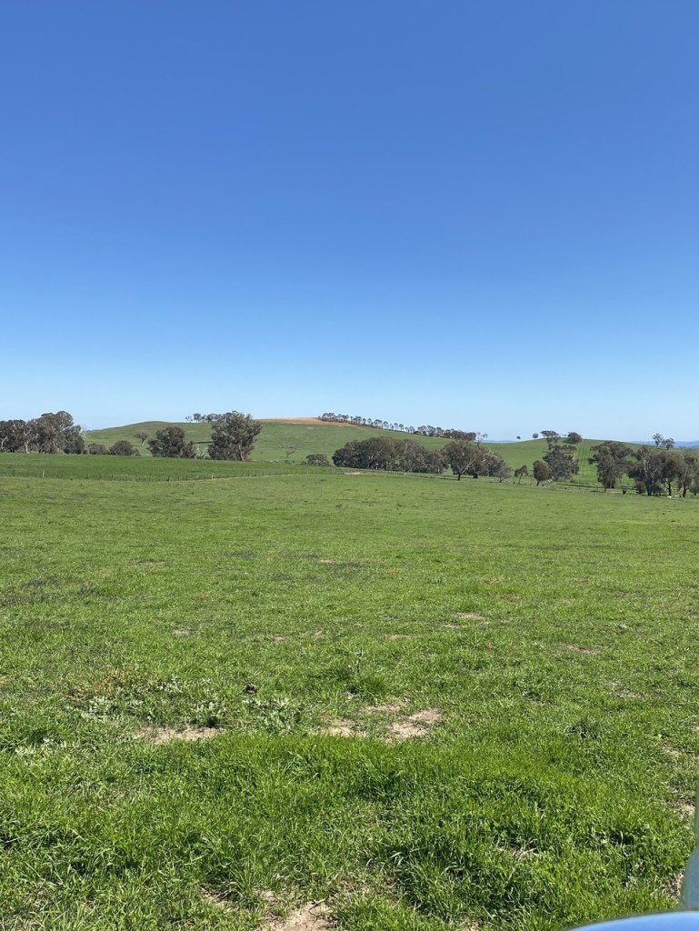 1378 Amaroo Road, Orange NSW 2800 - McGrath Central West