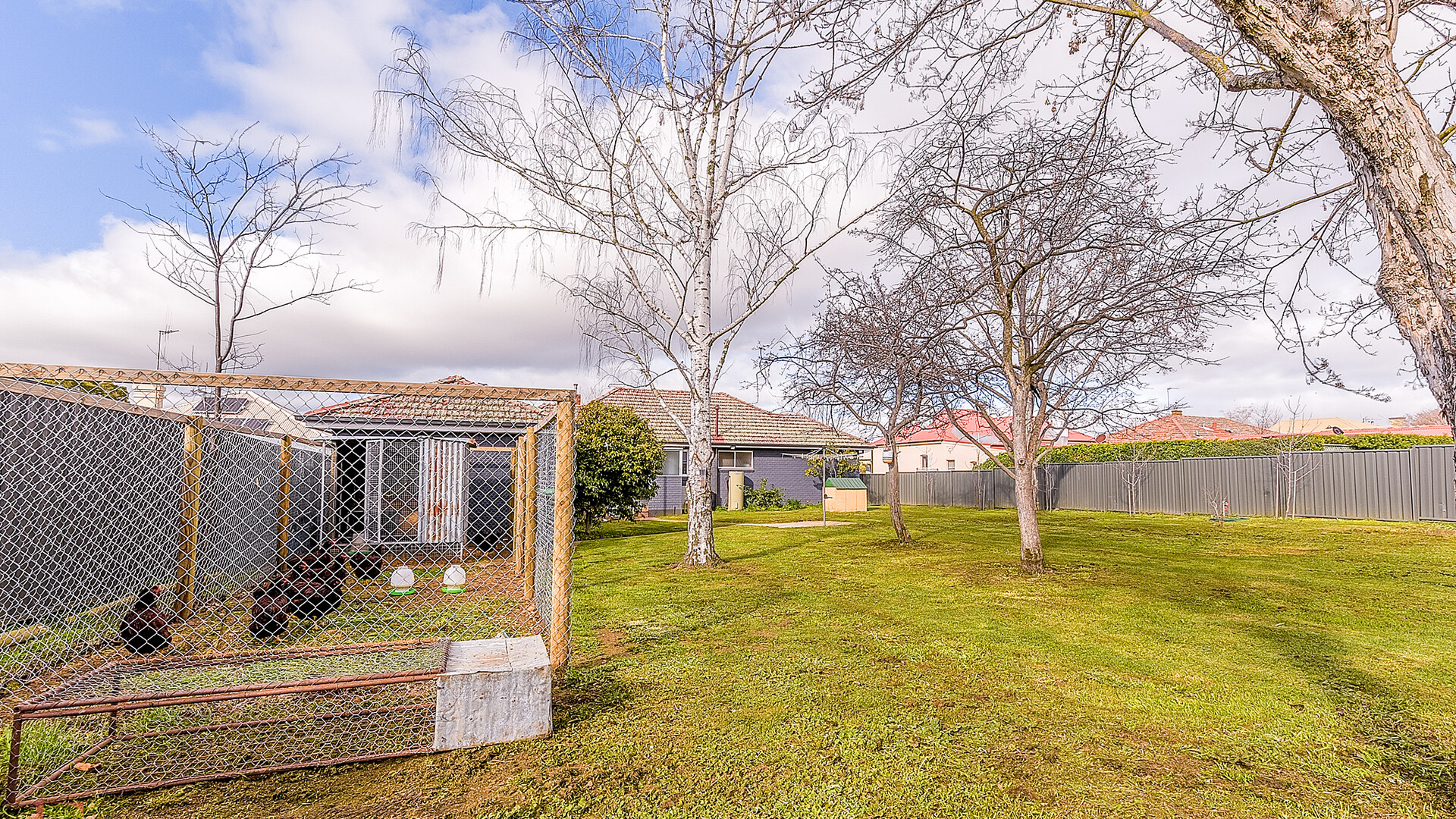 337 Anson Street, Orange NSW 2800 - photo 15