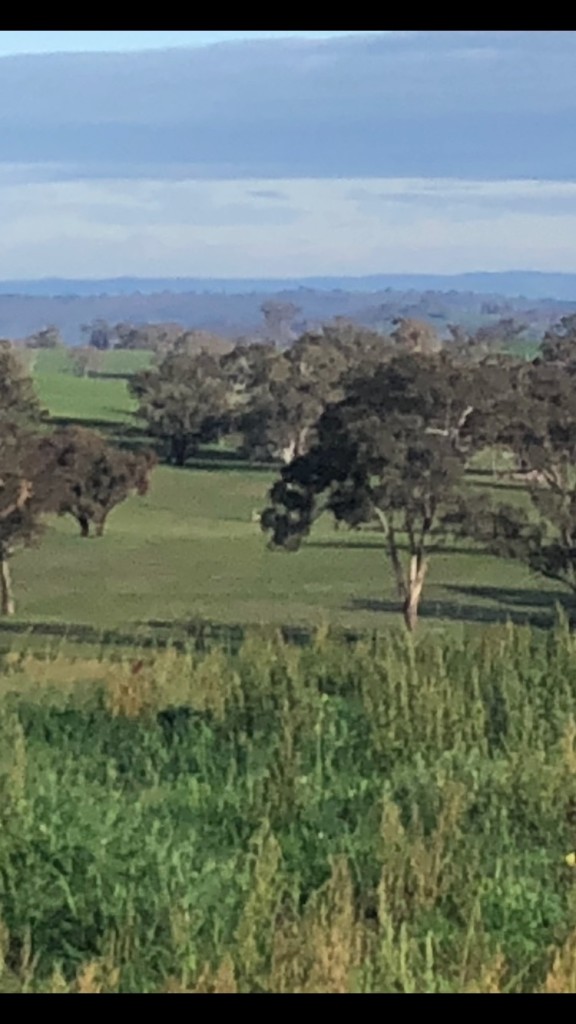 Jennings Lane, Amaroo NSW 2866 - photo 2