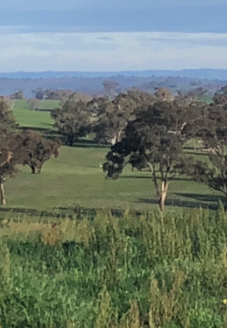 Jennings Lane, Amaroo NSW 2866 - photo 2