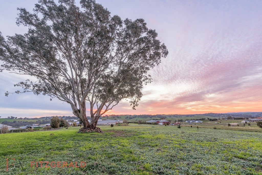 77 Dean Drive, Orange NSW 2800 - photo 4