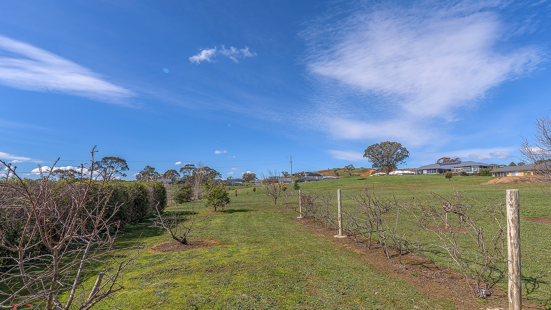 77 Dean Drive, Orange NSW 2800 - photo 10