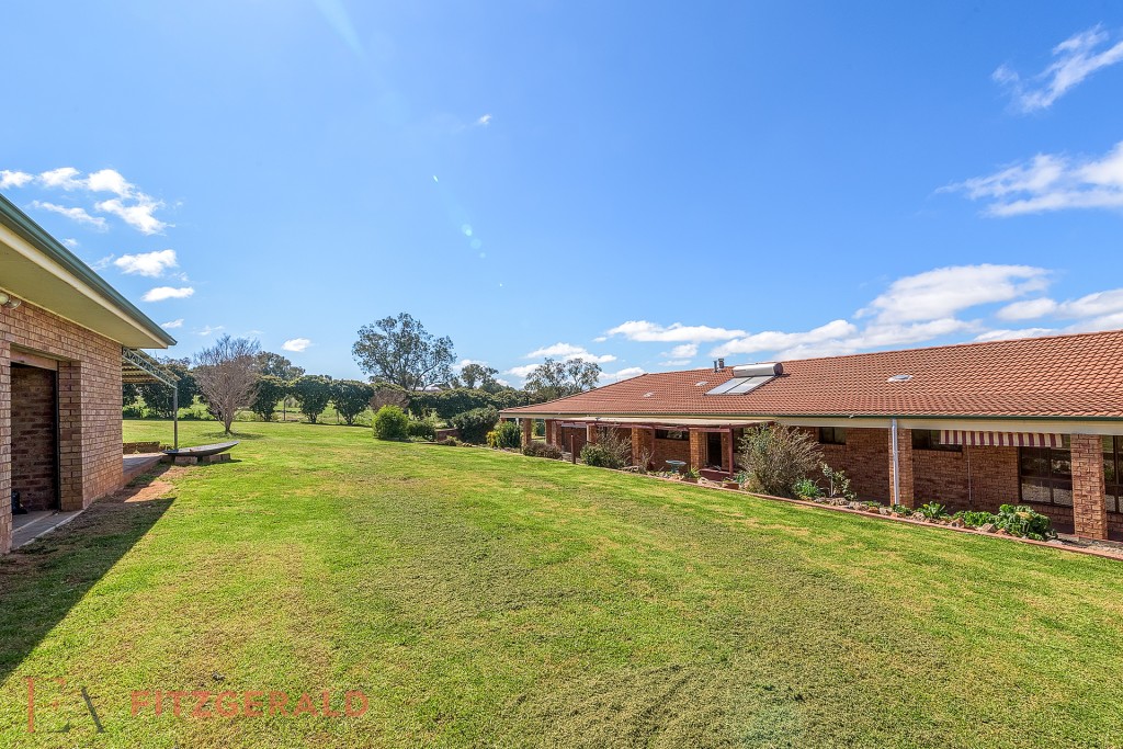 75 Riddell Street, Molong NSW 2866 - photo 13