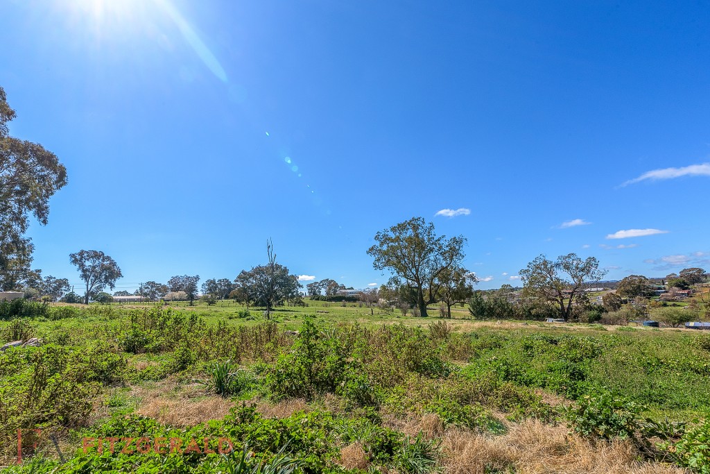 75 Riddell Street, Molong NSW 2866 - photo 14