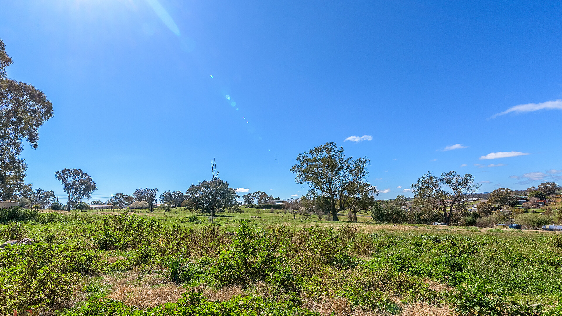 75 Riddell Street, Molong NSW 2866 - photo 14