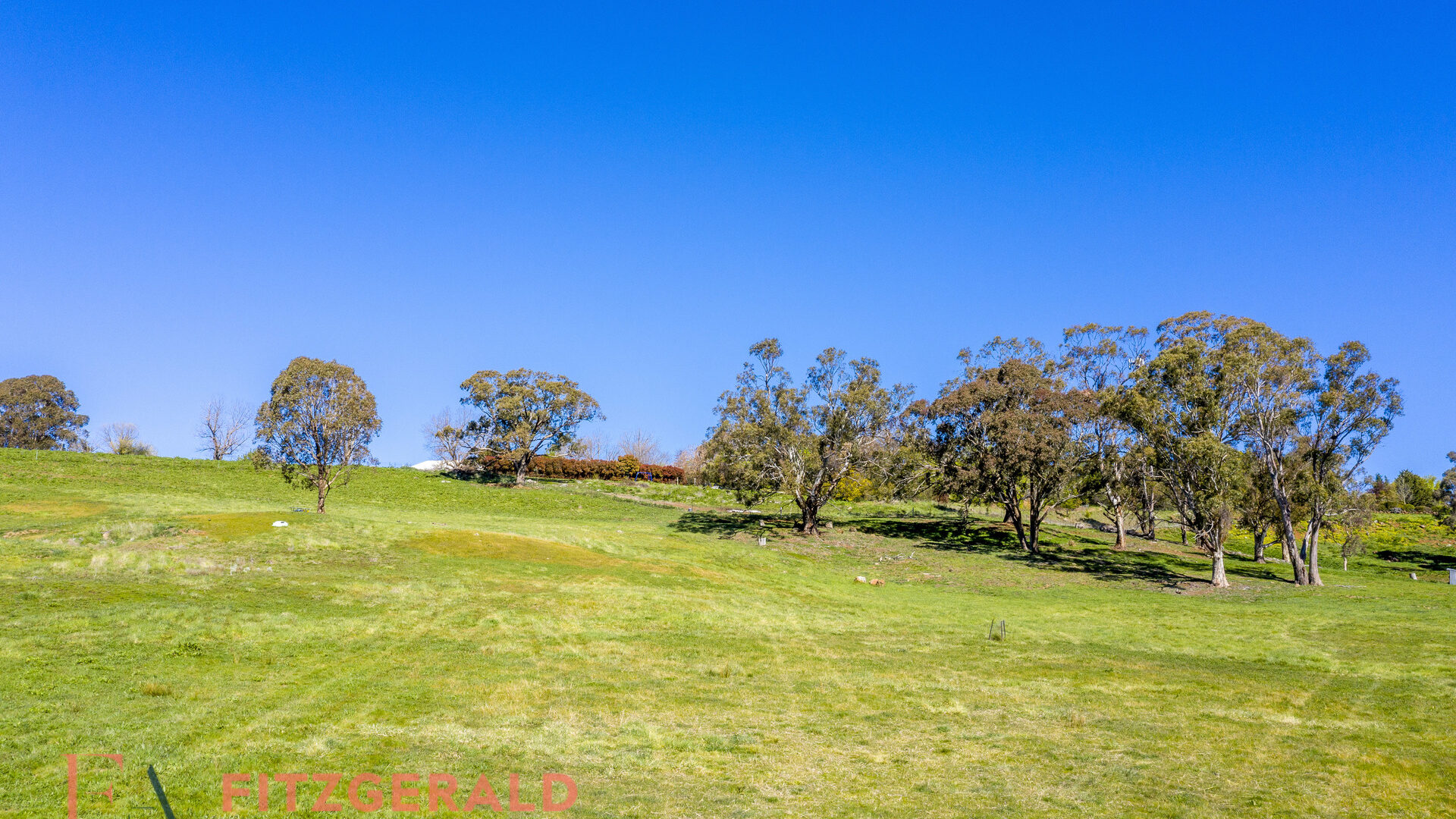10 Kirkwood Place, Orange NSW 2800 - photo 9