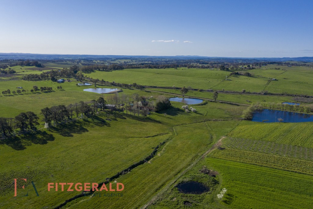 148 Borenore Road, Orange NSW 2800 - photo 2