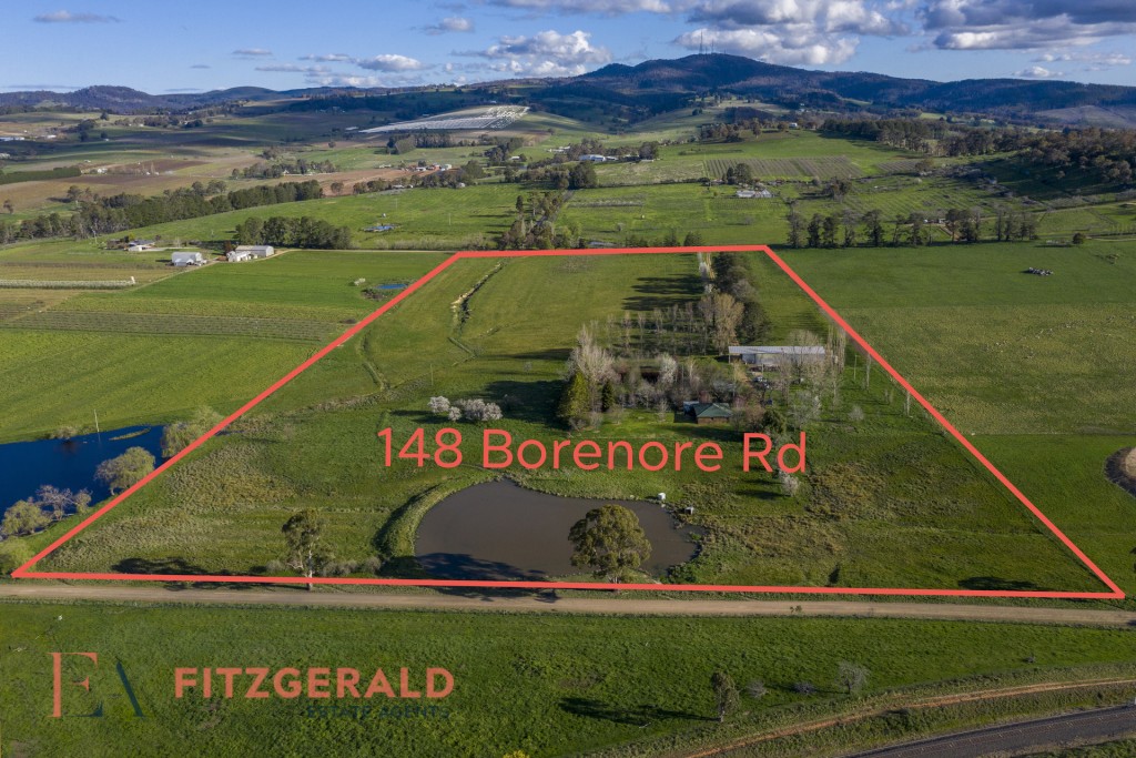 148 Borenore Road, Orange NSW 2800 - McGrath Central West